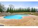 Curved inground pool with stone coping at 209 Enfield Ln, Mcdonough, GA 30252