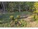 View of the lush backyard with mature trees and green grass at 2145 Sandgate Cir, South Fulton, GA 30349