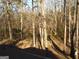 A wooded backyard during winter season with beautiful trees and plenty of sunlight at 2497 Old Jackson Rd, Locust Grove, GA 30248