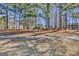 View of golf course, trees, and a home in the background at 102 Morallion Hls, Peachtree City, GA 30269