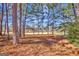 View of a backyard with tall trees and a golf course in the distance at 102 Morallion Hls, Peachtree City, GA 30269