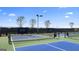 Well-lit community pickleball courts at 603 Parnassus Rd, Locust Grove, GA 30248