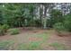 Wooded backyard with natural landscaping at 215 Creekside Trl, Fayetteville, GA 30214