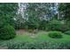 Spacious backyard with lush greenery and mature trees at 215 Creekside Trl, Fayetteville, GA 30214