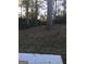 Wooded backyard with a large tree and a concrete pad at 9168 Carr Cir, Covington, GA 30014