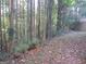 Wooded backyard with a partially visible fence and leaf-covered ground at 4490 Latchwood Dr, Lithonia, GA 30038