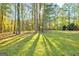 Sunny backyard with large trees at 180 Wesley Forest Dr, Fayetteville, GA 30214