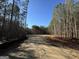 View of wooded lot from the road at 0 Pinegate Way, Sharpsburg, GA 30277