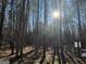 Wooded lot with tall pine trees and a real estate sign at 0 Pinegate Way, Sharpsburg, GA 30277