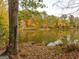 Fall foliage reflected in a calm lake with a dock in the distance at 145 Dockside Dr # 396, Fayetteville, GA 30215