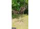 Landscaped backyard with a young tree at 2477 Briar Valley Way, Dacula, GA 30019