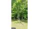 Young tree in a wooded backyard setting at 2477 Briar Valley Way, Dacula, GA 30019