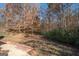 Private backyard with wooded area behind at 74 Canterbury Dr, Grantville, GA 30220