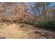Private wooded lot with leaf covered ground at 74 Canterbury Dr, Grantville, GA 30220