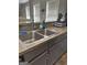 Modern double sink with gray cabinets and a stainless steel finish at 470 Harris Rockmore Loop, Covington, GA 30014