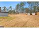 Large backyard with wooden fence and sheds at 206 Sandown Dr, Peachtree City, GA 30269