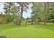 Expansive backyard with lush grass and mature trees at 100 Aspen Way, Fayetteville, GA 30214