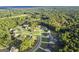 Wide aerial view of a residential community surrounded by trees at 253 Gordon Oaks Way, Moreland, GA 30259