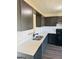 Well-lit kitchen featuring gray cabinets, stainless appliances, and modern countertops at 415 Dove Ln, Social Circle, GA 30025