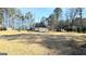 Large backyard with spacious grassy area and detached workshop at 65 Merideth Trce, Sharpsburg, GA 30277
