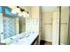 Bathroom with a vanity and shower at 65 Merideth Trce, Sharpsburg, GA 30277