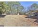 Large backyard with shed and wooded area at 234 Willis Rd, Sharpsburg, GA 30277