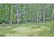 Backyard featuring green grass and many mature trees at 215 Kingswood Dr, Fayetteville, GA 30215