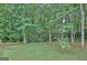 Backyard view offers mature trees and wooded privacy at 215 Kingswood Dr, Fayetteville, GA 30215