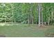 Backyard features mature trees and green grass at 215 Kingswood Dr, Fayetteville, GA 30215