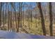 View of the wooded backyard from above at 169 Holly Ct, Loganville, GA 30052