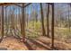 Wooded backyard view from under the deck at 169 Holly Ct, Loganville, GA 30052