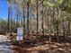 Sign for Pinegate lot 2 with surrounding woods and natural landscape at 2 Bob Smith Rd, Sharpsburg, GA 30277