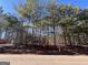 Beautiful wooded lot with mature trees and a glimpse of the sky above at 2 Bob Smith Rd, Sharpsburg, GA 30277