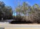 Beautiful lot surrounded by tall pine trees, offering privacy and a serene setting at 1 Bob Smith Rd, Sharpsburg, GA 30277