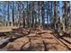 Wooded backyard providing a private and natural setting at 901 Arbor Way, Mcdonough, GA 30253