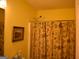Bright yellow bathroom featuring a shower with patterned curtain and a framed picture at 213 Meridian Dr, Stockbridge, GA 30281