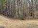 Wooded area behind house, offering natural privacy at 228 Cornell Ct, Villa Rica, GA 30180