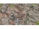 Aerial view of house nestled in the woods at 6051 Reynolds Rd, Morrow, GA 30260