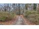 Long driveway leading through a wooded area at 6051 Reynolds Rd, Morrow, GA 30260