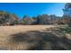 Spacious backyard with mature trees at 165 Nandover Way, Fayetteville, GA 30215