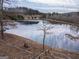 Scenic pond view with natural surroundings, perfect for relaxation and outdoor activities at 3505 Gum Creek Rd, Oxford, GA 30054
