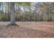 Large backyard with mature trees and fire pit at 960 Todd Dr, Covington, GA 30014