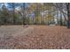 Large backyard with a shed and firepit at 960 Todd Dr, Covington, GA 30014
