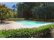 Beautiful pool with a concrete deck surrounded by lush landscaping and mature trees on a sunny day at 230 Hedgewick Way, Tyrone, GA 30290