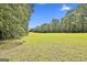 Expansive green field surrounded by tall trees on the property at 230 Hedgewick Way, Tyrone, GA 30290