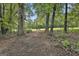 View of mature trees surrounding a large, grassy field on the property at 230 Hedgewick Way, Tyrone, GA 30290