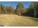 Open backyard with a large grassy area and trees at 20 Platinum Rdg, Sharpsburg, GA 30277