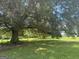 Lush green yard showcasing a grand, mature tree, creating a peaceful and inviting outdoor space at 1597 Highway 92 S, Fayetteville, GA 30215