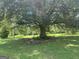 Scenic yard with a majestic, mature tree, perfect for relaxing outdoors and enjoying the natural surroundings at 1597 Highway 92 S, Fayetteville, GA 30215