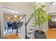 View of a light-filled dining room from the entryway staircase at 150 S Kite Lake Rd, Fayetteville, GA 30214